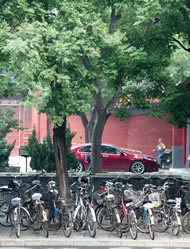 BEIJING HONG KONG JOCKEY CLUB CLUBHOUSE(最新发布)