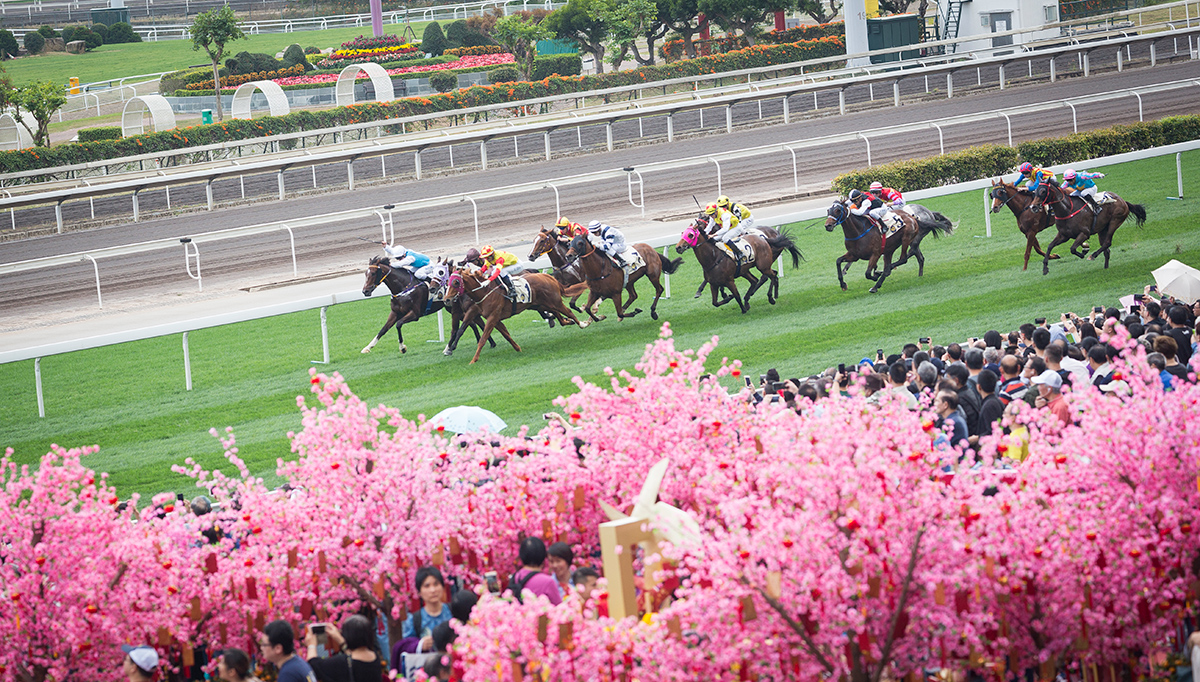 財來運起年初三 北京香港馬會會所 香港賽馬會